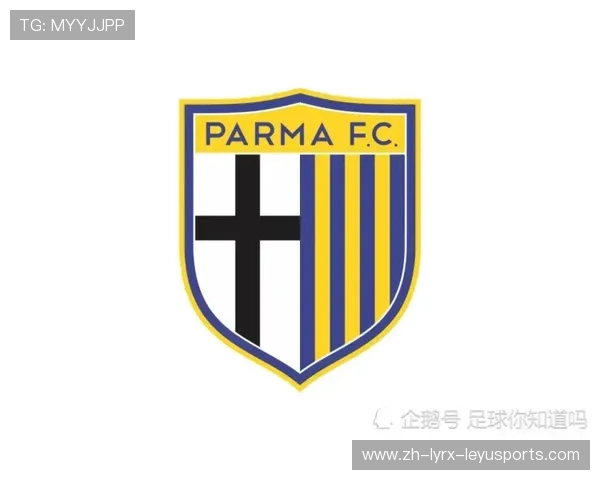 球队如何进入意甲联赛的资格与规则说明 球队如何进入意甲联赛的资格与规则说明