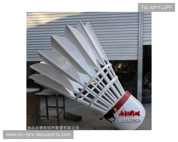 羽毛球水位变化